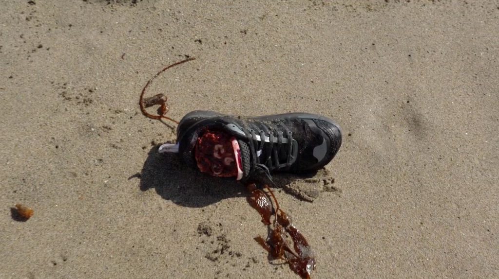 British Columbia severed feet Beach