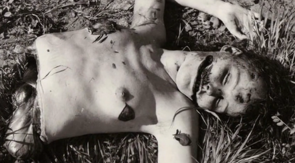 The black Dahlia Homicide