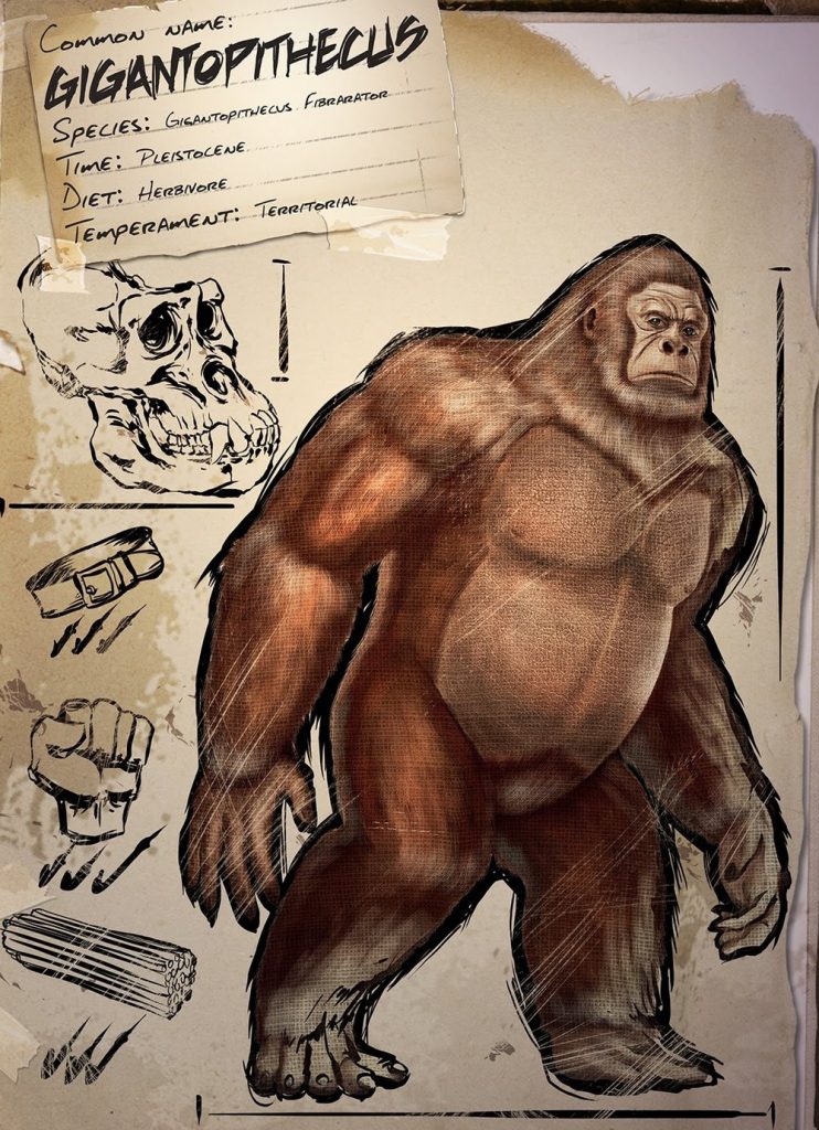 Gigantopithecus