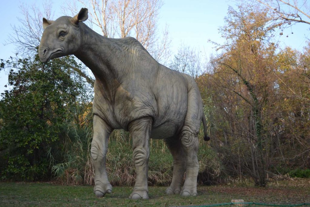 Paraceratherium