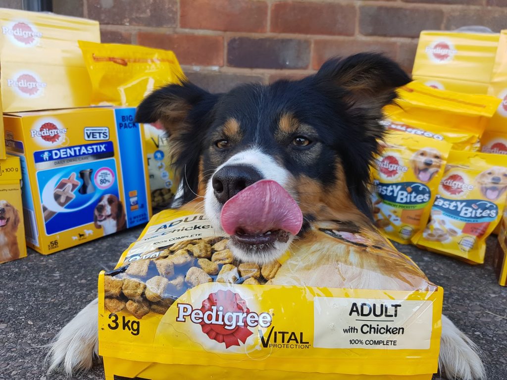 Pedigree Adult Pedigree