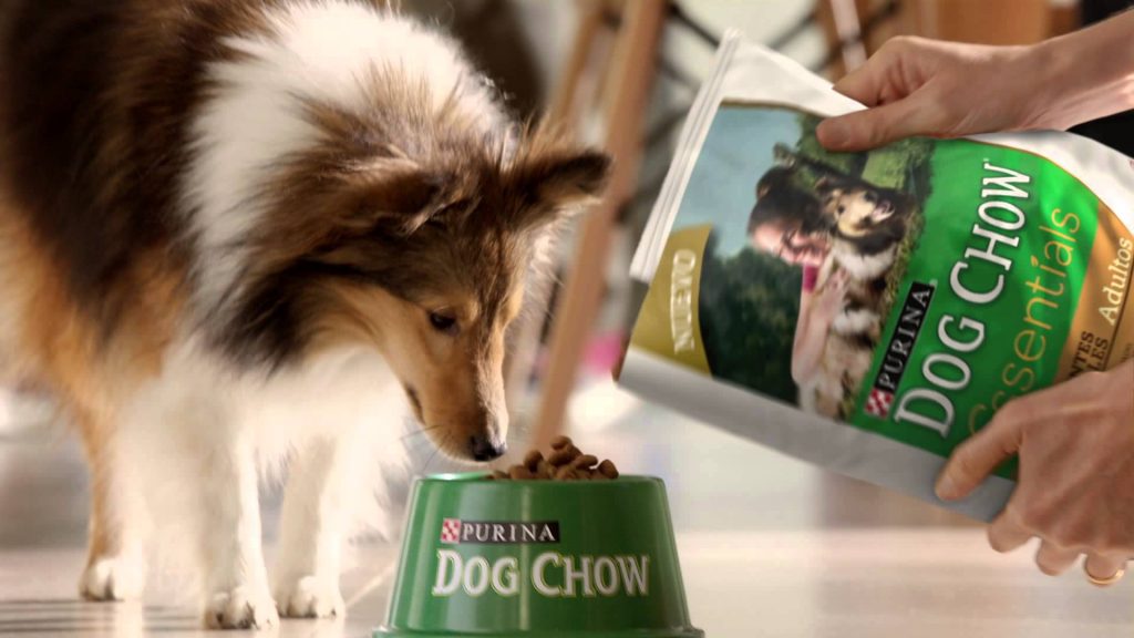 Purina Dog Chow