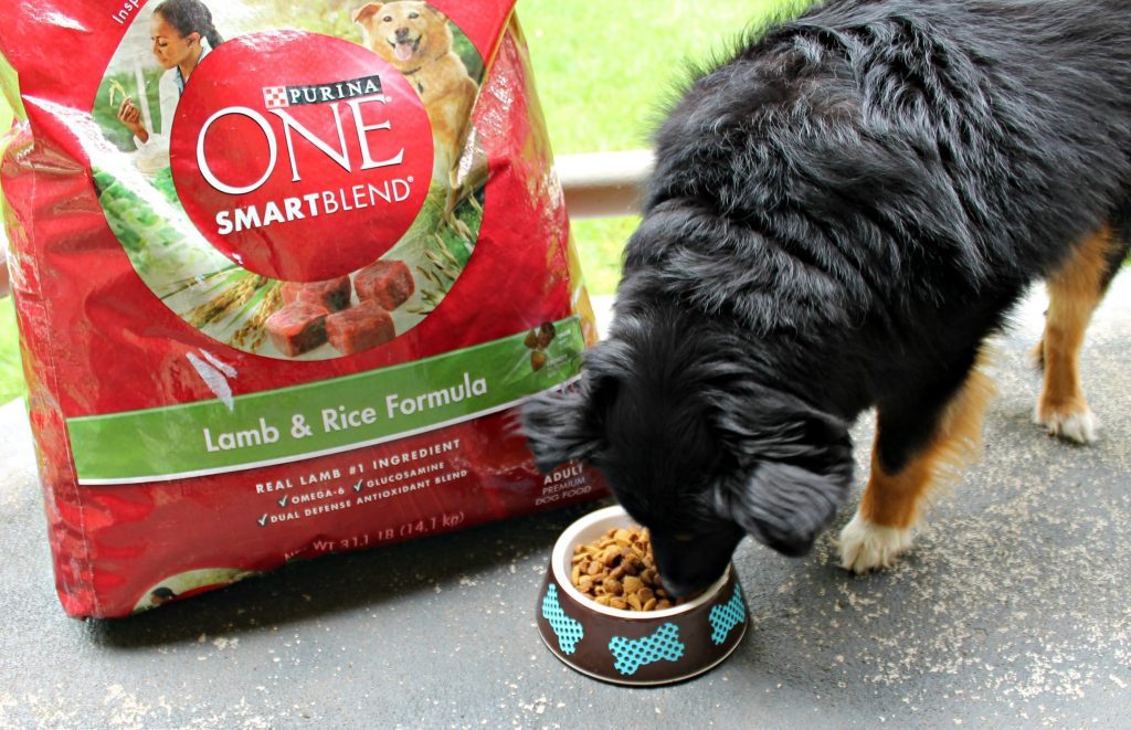 Purina One Smart Blend